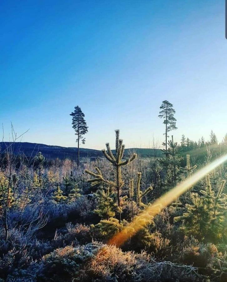 Mysig Timmerstuga Med Braskamin Naera Hovfjaellet Torsby Bagian luar foto