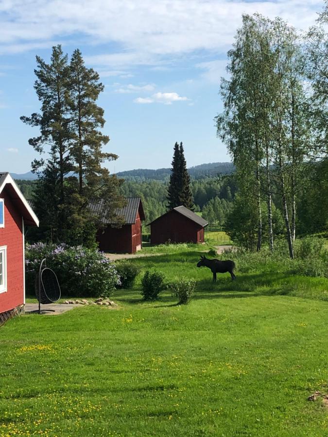 Mysig Timmerstuga Med Braskamin Naera Hovfjaellet Torsby Bagian luar foto