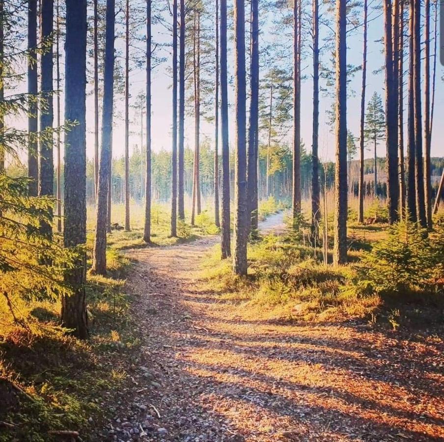 Mysig Timmerstuga Med Braskamin Naera Hovfjaellet Torsby Bagian luar foto