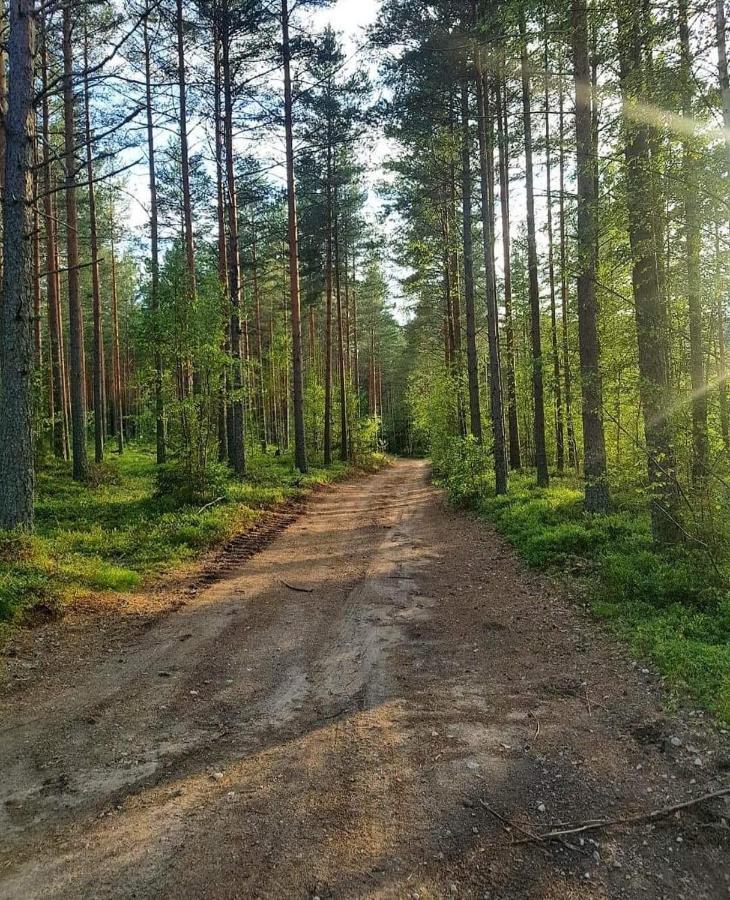 Mysig Timmerstuga Med Braskamin Naera Hovfjaellet Torsby Bagian luar foto